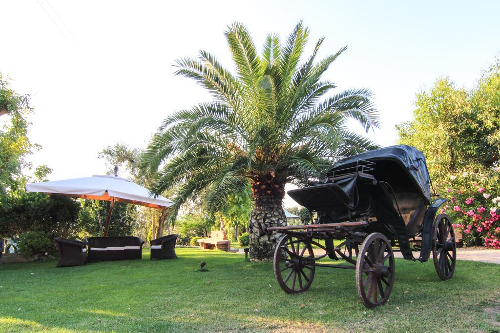 Le Colline Del Gelso-Masseria Mazzei Россано Екстер'єр фото